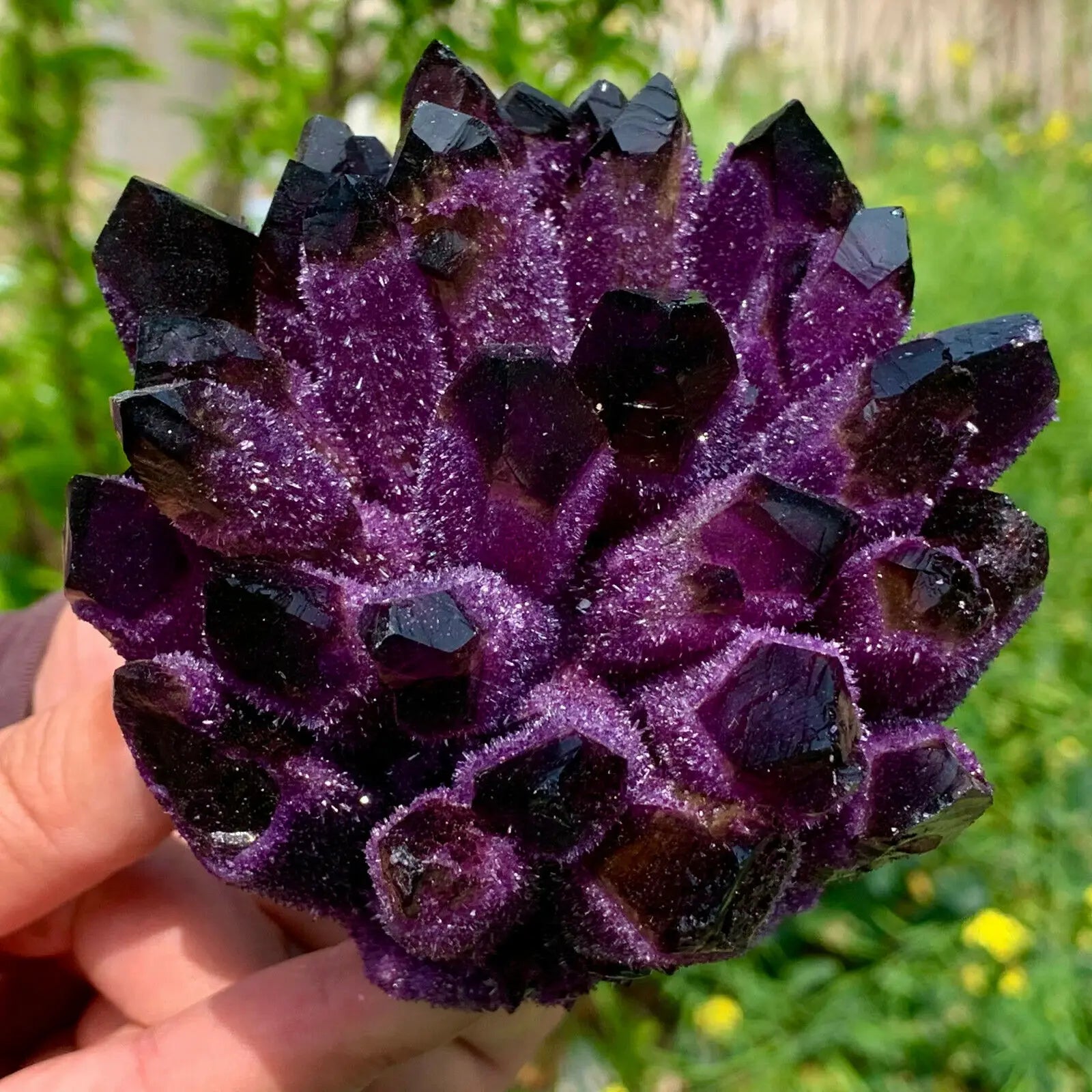 Violet Phantom Quartz Crystal Cluster