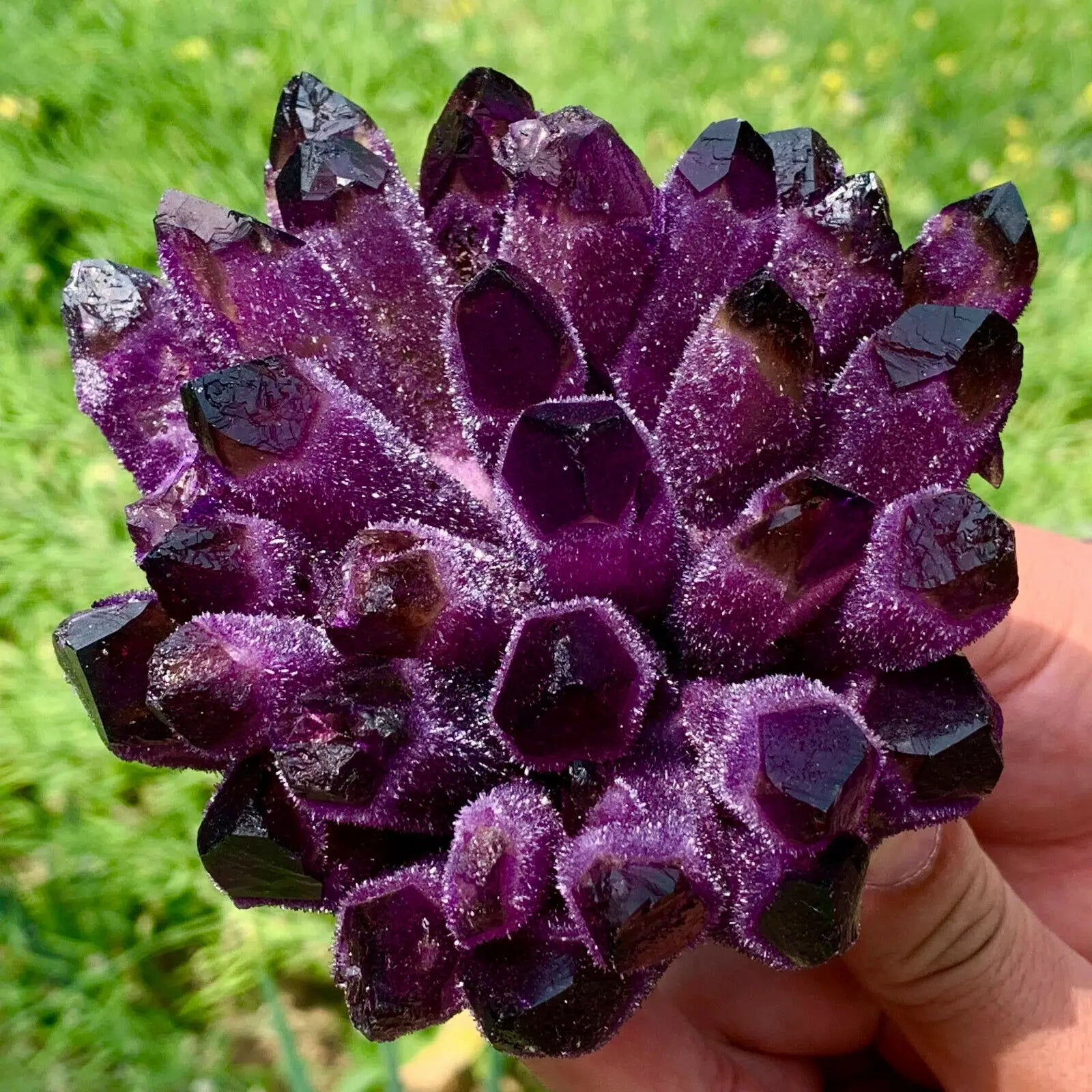 Violet Phantom Quartz Crystal Cluster
